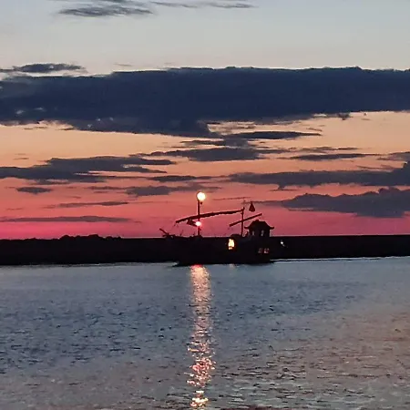 Goscinne Damian * 므르제지노