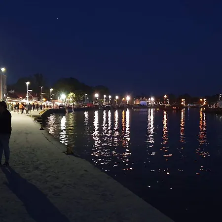 Goscinne Damian 므르제지노