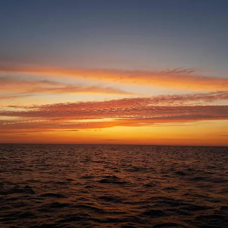 Goscinne Damian Homestay *